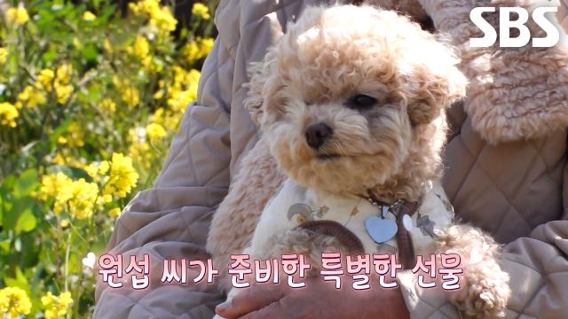 푸주, 할머니의 아흔 번째 봄 함께 기록해 특별한 날↗