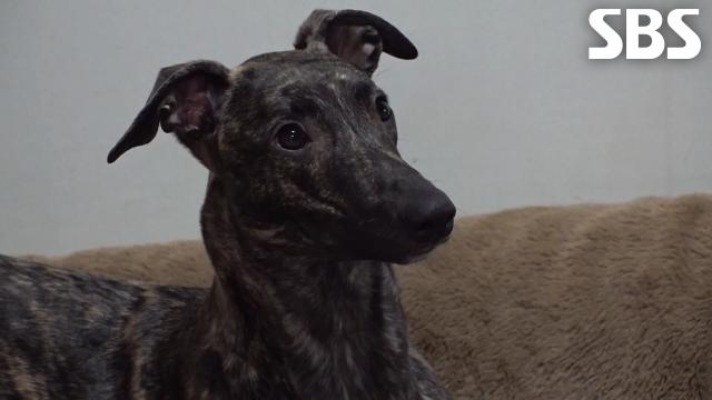 샌디, 절제와 인내 기르기 위해 시작한 기본 교육 훈련!