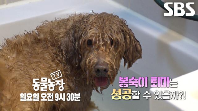 [4월 12일 예고] 잠시도 눈 뗄 수 없는 신들린 물친개 ‘봉숙이’ 퇴마↗