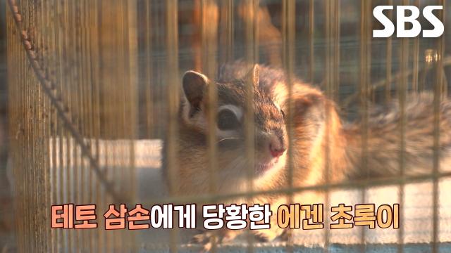 초록이×삼손, 앞으로가 기대되는 설렘 가득한 첫 만남♥