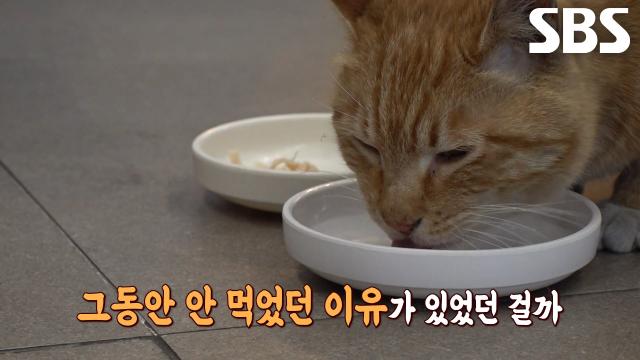 꾸미, 사장님이 준비해 준 특식에도 제대로 씹지 못하는 심각한 상태↘