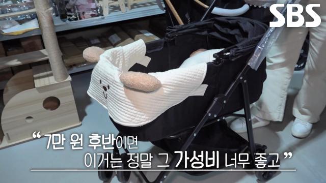 인터넷 보다 저렴해 가성비 가득한 ‘반려동물 할인 창고 매장’ 공개!