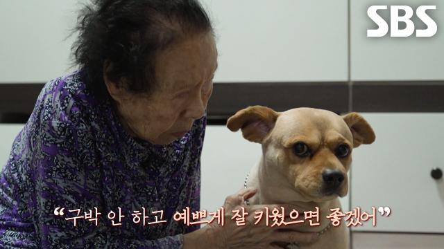 콩이, 할머니의 애정 가득 담긴 마지막 소원이 적힌 노트 속 주인공