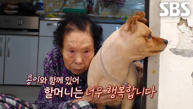 ‘효자견’ 콩이, 할머니의 작은 세상 환하게 밝혀준 특별한 존재