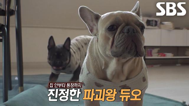 톰×제리, 기다렸단 듯 살림살이 파괴하며 네버엔딩 대환장극♨