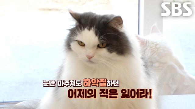 나리×커피, 화해하기 위한 ‘페로몬 믹스’ 프로젝트로 거리두기 성공!