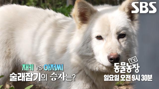 ‘탈출 전과 246범’ 재키, 아저씨와 쫓고 쫓기는 숨막히는 술래잡기!