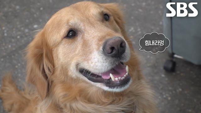 금동이, 진료 끝날 때까지 방해하지 않으며 3년 차 마스코트 다운 센스!