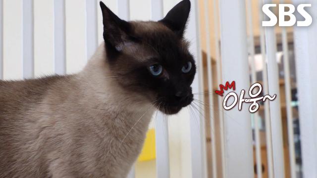 커피, 나리만 보면 매섭게 쏘아붙이며 숨막히는 살얼음판의 연속!