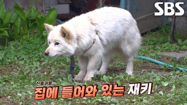 재키, 아무 일 없다는 듯 가출 후 돌아와 뻔뻔함 장착!