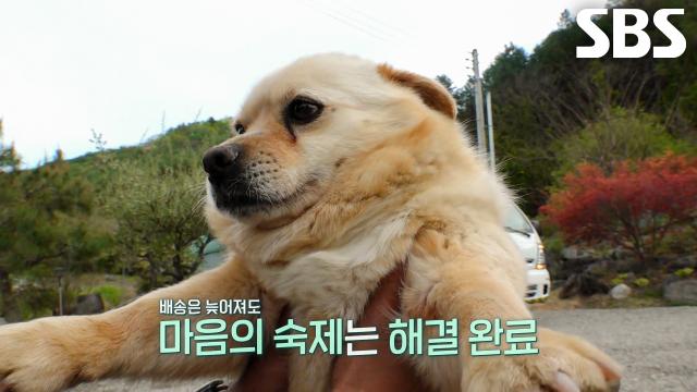 설이, 든든한 지원군 덕에 민원 해결되고 만끽하는 행복♥