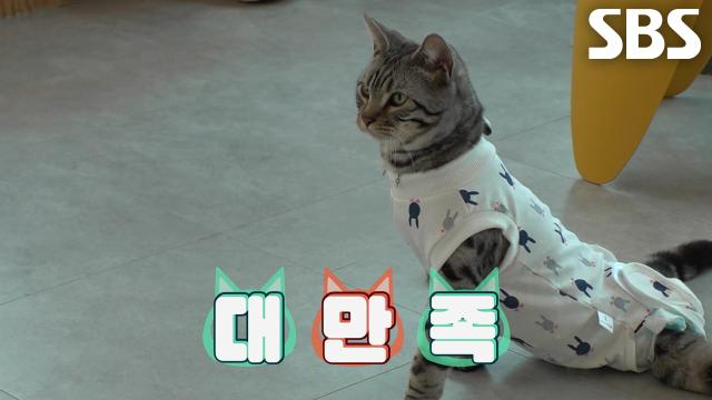 팝이, 전용 휠 슈트 입고 거침없이 코너링하며 폭풍 질주 본능!