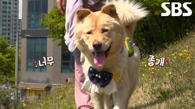 행운이, 기적 끝에 다시 찾은 평온한 일상에 보이는 미소↗