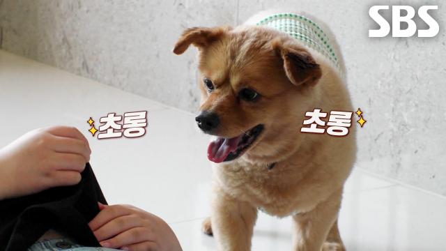 콩이, 새로운 가족과 함께 천천히 알아가는 새로운 행복♥