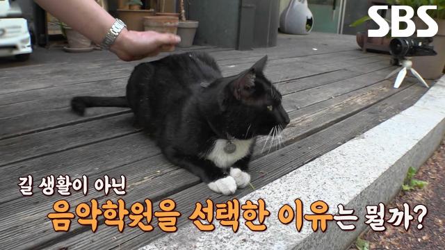 오월이, 안정감 주는 선율에 혼자만의 완벽한 안식처 된 음악 학원★