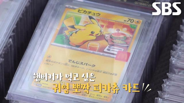 ‘카드 덕후 달인’이 소개해 주는 특별한 프로모션 카드★ (ft. 보관법)