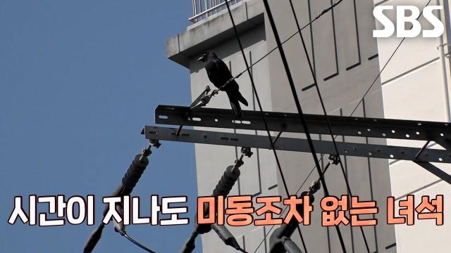 까마귀, 오직 하리만 겨냥한 미스터리한 적대감 드러낸 이유!