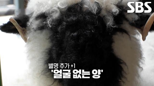 미코, 짙고 검은 얼굴과 풍성한 털의 조화로 차원 다른 매력!
