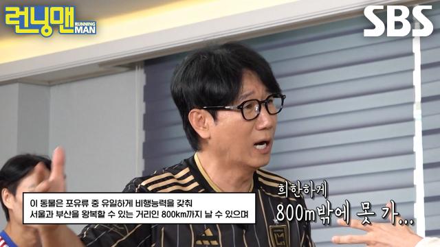‘희한하네...(?)’ 지석진, 지예은이 전한 요상한 정보 이해 못 하고 꿋꿋이 전달↗