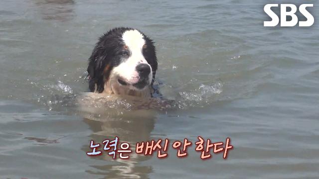 ‘순둥이’ 블루, 상남자로 변신하기 위해 담력 키우기 시작↗ (ft. 직립보행)