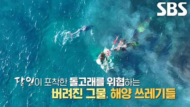 제주 돌고래 촬영의 달인, 바다 쓰레기로 위협받는 새끼 돌고래들 위한 노력