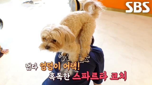 ‘부원장’ 크림이, 요가 1대1 밀착 코치하며 완벽한 핸즈온 스킬★