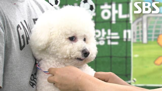 아지의 마지막 골로 ‘골 때리는 개들’ 무사히 종료★
