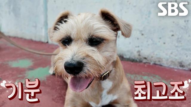 짱이, 밤낮 바꾸기 프로젝트를 통해 위험한 야간 아재 로드 종료★