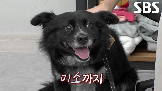 까망이, 리드줄 통제 훈련을 통해 경계 풀고 모두의 까망이로 변신!