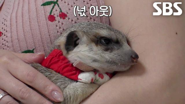 창덕이만을 위한 놀이터로 식탐 없애는 건강 디톡스!