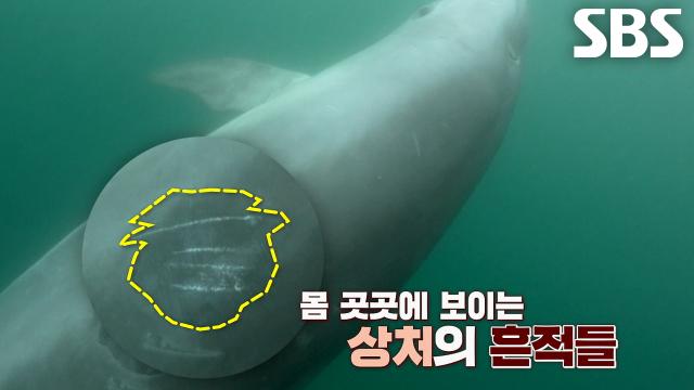 사람과의 거리가 가까워질수록 삶이 위험해지는 ‘안목이’↘
