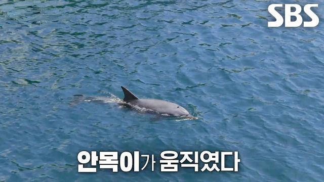 긴장감 넘치는 역대급 스케일의 ‘안목이’ 구조 작전↗