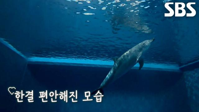 안목이, 구조 후 안정 찾아가며 바다로 돌아갈 긴 여정의 시작★