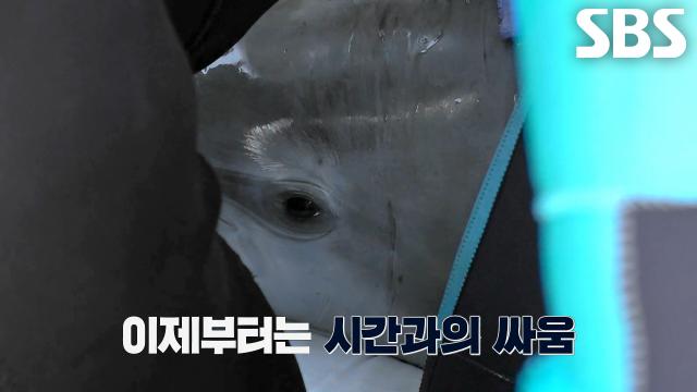지체할 시간이 없는 긴급한 '안목이'의 구조 현장♨ 썸네일