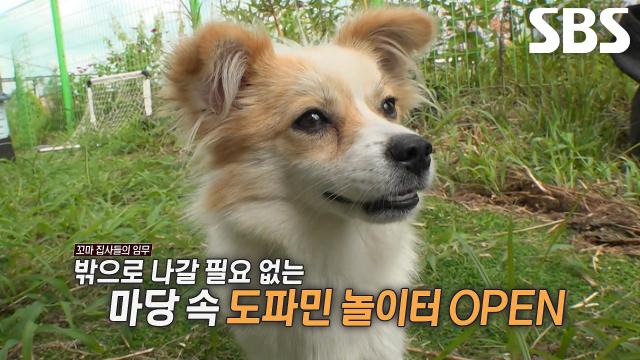 예쁜이×꽃개×먹보, 탈출 막기 위한 ‘삼댕댕 놀이터’ 개장!