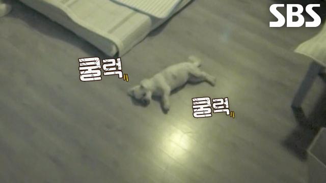봄이, 잠들지 못하고 밤까지 이어진 기침에 걱정 가득