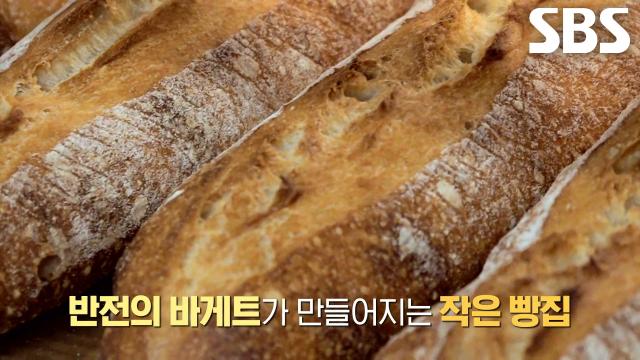 세 가지 밀가루×천연 발효종 사용해서 구수한 풍미가 일품인 달인의 숙성 바게트★ (ft. 폴딩 작업)