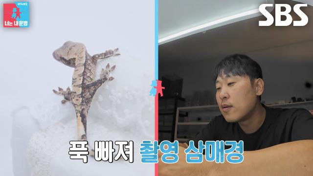 윤석민, 갓 알 깨고 나온 도마뱀 위해 ‘전용 스튜디오’에서 기념 촬영!