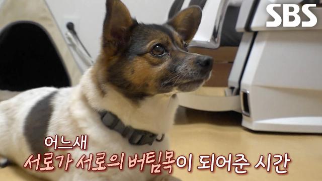 운명처럼 만난 할머니×달이, 서로의 곁을 지키며 버팀목이 되어준 시간