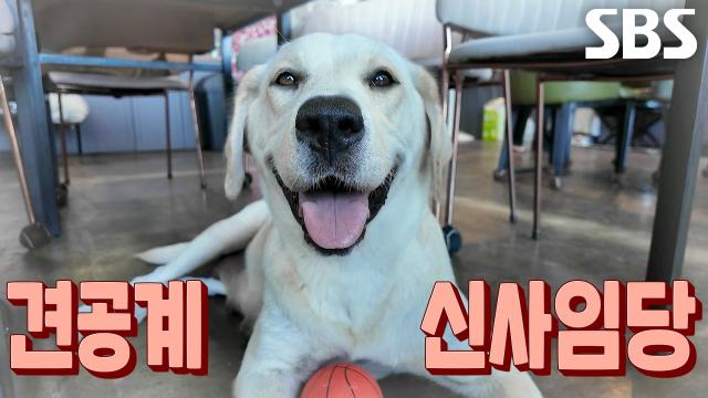 ‘견공계 신사임당’ 마르, 육아 잠시 해제하며 즐기는 합법적 자유시간↗