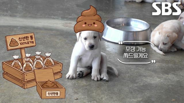 ‘다둥이맘’ 마르, 자유 만끽하느라 꼬물이들 육아는 뒷전! (ft. 똥트리버)