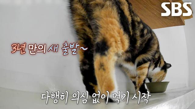 콩쥐의 닫혀 있던 마음 열고 새 출발을 위한 특급 솔루션↗