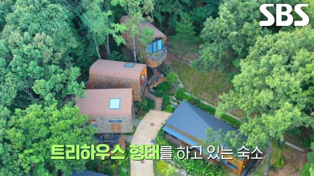 ‘휴양림 덕후’가 소개하는 서울 도심 속 외국 휴양지 느낌 가득한 트리하우스 숙소↗