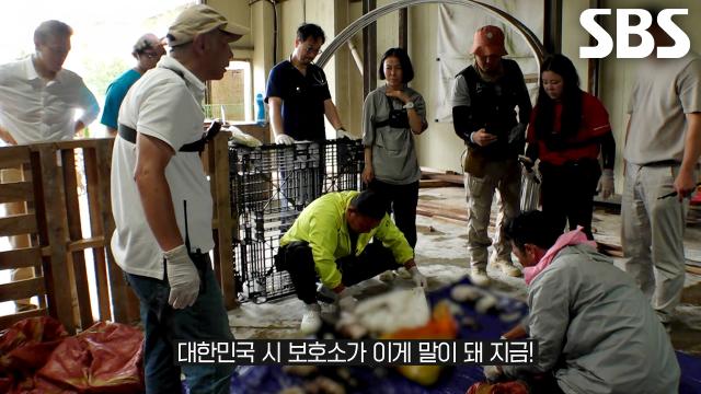 유기 동물 보호 센터의 대형 냉장고에서 발견된 가득한 사체