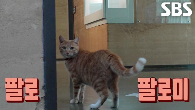 호야, 관람객 사로잡은 완벽한 전시 안내로 인턴 점수 만회★