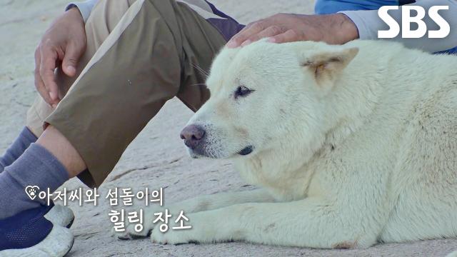 섬돌이×아저씨, 아침 산책으로 즐기는 힐링 데이트↗