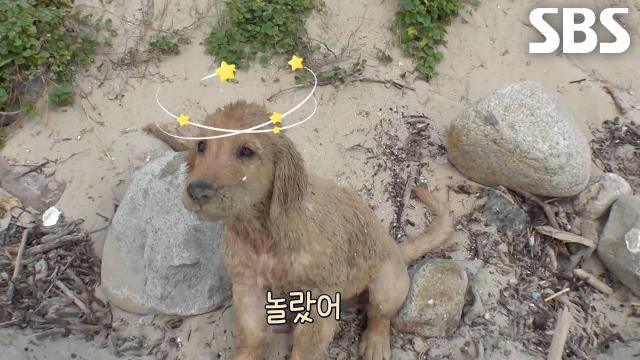 ‘사고뭉치 남매’ 윤돌이×윤순이, 모래밭 위에서 즐기는 난장판♨