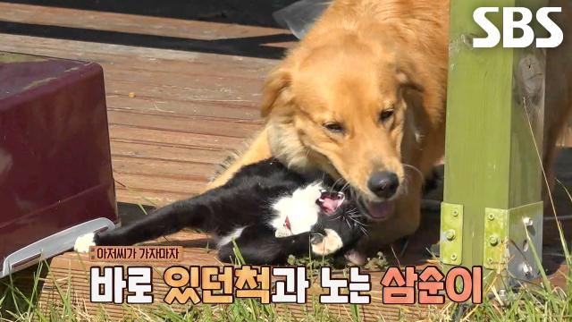 불청객에서 이웃사촌으로 바뀐 삼순이를 위한 초대 준비★