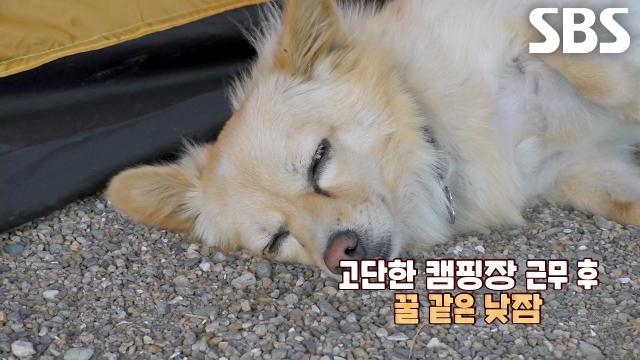 설이×꼬맹이, 안내 DNA 물려받은 가이드 모녀의 죽도 투어↗