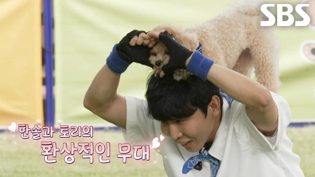 서로의 눈이 되어주어 마음으로 이어진 한솔×토리의 도그 댄스 무대↗